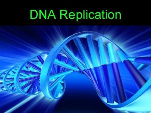 DNA Replication Learning Objectives Explain what DNA replication