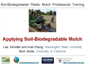 SoilBiodegradable Plastic Mulch Professional Training Applying SoilBiodegradable Mulch