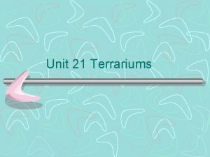 Unit 21 Terrariums What is a Terrarium It