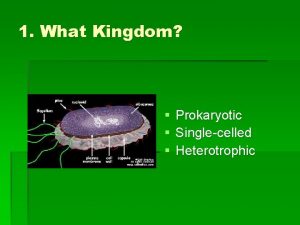 1 What Kingdom Prokaryotic Singlecelled Heterotrophic 2 What