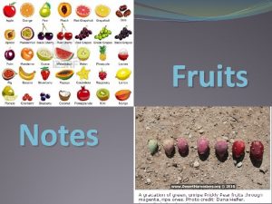 Fruits Notes Intro to Fruit Fruits grow on