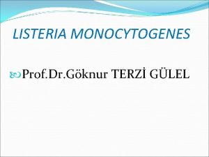 LISTERIA MONOCYTOGENES Prof Dr Gknur TERZ GLEL L