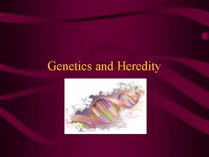 Genetics and Heredity A Heredity The passing of