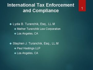 International Tax Enforcement and Compliance Lydia B Turanchik