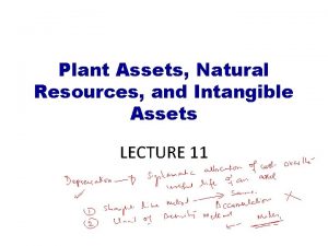 Plant Assets Natural Resources and Intangible Assets LECTURE