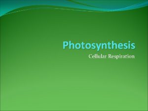 Photosynthesis Cellular Respiration Respiration Process by which humans