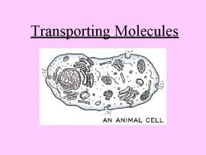 Transporting Molecules CELL MEMBRANE also called plasma membrane