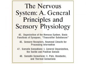 Sensory receptors Effectors Motor functions Control the various