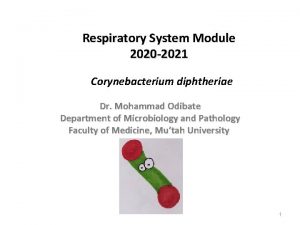 Respiratory System Module 2020 2021 Corynebacterium diphtheriae Dr