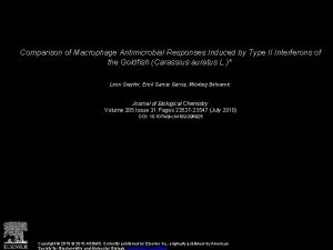 Comparison of Macrophage Antimicrobial Responses Induced by Type