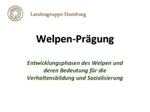 Landesgruppe Hamburg WelpenPrgung Entwicklungsphasen des Welpen und deren