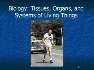 Biology Tissues Organs and Systems of Living Things