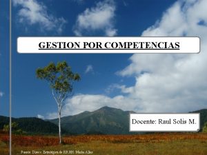 GESTION POR COMPETENCIAS Docente Raul Solis M Fuente