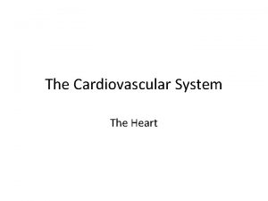 The Cardiovascular System The Heart The Cardiovascular System