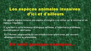 Les espces animales invasives dici et dailleurs On