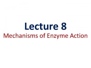 Lecture 8 Mechanisms of Enzyme Action Transition State