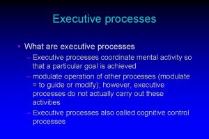Executive processes What are executive processes Executive processes