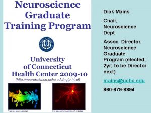 Dick Mains Chair Neuroscience Dept Assoc Director Neuroscience