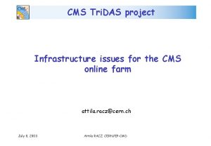 CMS Tri DAS project Infrastructure issues for the