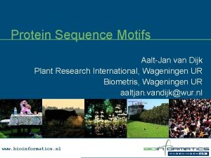 Protein Sequence Motifs AaltJan van Dijk Plant Research