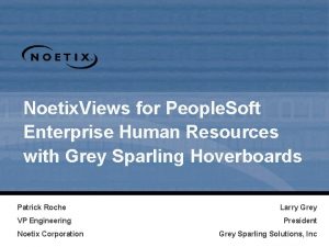 Noetix Views for People Soft Enterprise Human Resources
