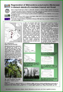 Regeneration of Metrosideros polymorpha Myrtaceae in dieback stands