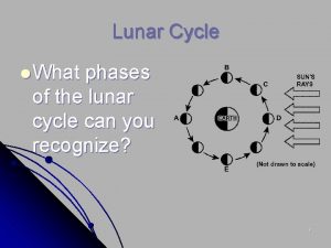 Lunar Cycle l What phases of the lunar