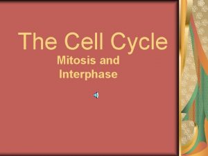 The Cell Cycle Mitosis and Interphase All living