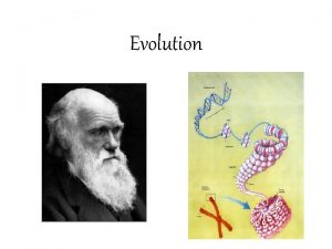 Evolution Genetic Variation and Evolution Evolution changes through