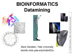 Mark Gerstein Yale University bioinfo mbb yale edumbb