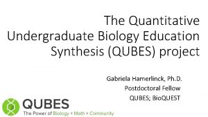 The Quantitative Undergraduate Biology Education Synthesis QUBES project