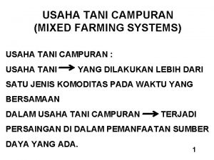 USAHA TANI CAMPURAN MIXED FARMING SYSTEMS USAHA TANI