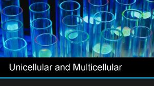 Unicellular and Multicellular Unicellular and Multicellular Video https