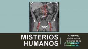 MISTERIOS HUMANOS Cincuenta asombrosos factores de tu La