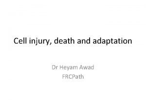 Cell injury death and adaptation Dr Heyam Awad