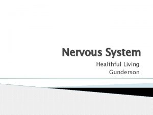 Nervous System Healthful Living Gunderson Parietal Lobe Frontal