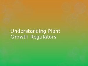 Understanding Plant Growth Regulators Next Generation ScienceCommon Core