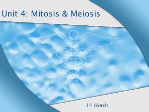 Unit 4 Mitosis Meiosis 14 Words Exchange of