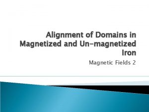 Alignment of Domains in Magnetized and Unmagnetized Iron