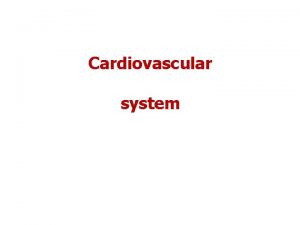 Cardiovascular system The cardiovascular system includes heart blood