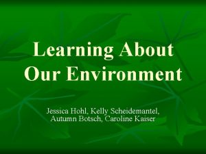 Learning About Our Environment Jessica Hohl Kelly Scheidemantel