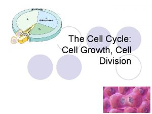 The Cell Cycle Cell Growth Cell Division Where