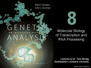 8 Molecular Biology of Transcription and RNA Processing