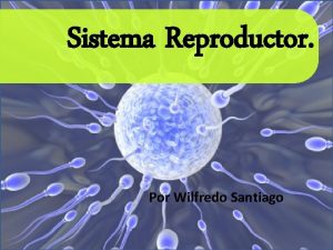 Sistema Reproductor Por Wilfredo Santiago Objetivos o Describir