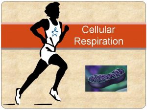 Cellular Respiration Cellular Respiration Overall word equation reactants