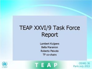 TEAP XXVI9 Task Force Report Lambert Kuijpers Bella
