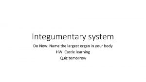 Integumentary system Do Now Name the largest organ