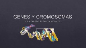 GENES Y CROMOSOMAS L E ALEXA BEATRIZ QUINTAL