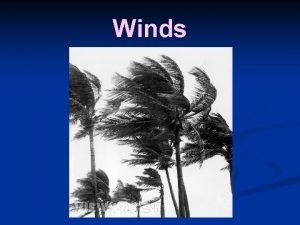 Winds What causes winds A wind is the
