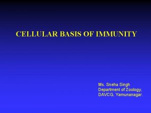 CELLULAR BASIS OF IMMUNITY Ms Sneha Singh Department